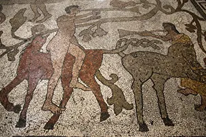 Mosaic of riders on the floor of the central nave, Otranto Duomo, Otranto, Lecce, Apulia