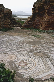 Images Dated 22nd December 2007: Mosaic from Roman site of Cherchell, buried under the new city, Cherchell