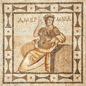 Traditionally Turkish Prints: Mosaic from the tomb of Ameriminia