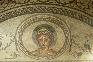 Mosaic of Venus, Bignor Roman villa, West Sussex, England, United Kingdom, Europe
