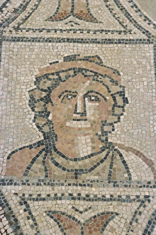 Volubilis Prints: Mosaic, Volubilis