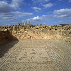 Volubilis Prints: Mosaics from the 3rd century Roman city of Volubilis