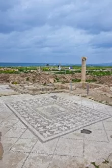 Images Dated 7th March 2008: Mosaics at the archaeological site, Paphos, UNESCO World Heritage Site, Cyprus, Europe