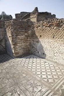 Images Dated 14th March 2007: Mosaics, Hadrians Villa, UNESCO World Heritage Site, Tivoli, Rome, Lazio, Italy