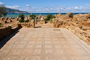 Algeria Prints: Mosaics at the Roman ruins of Tipasa, UNESCO World Heritage Site, on the Algerian coast