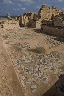 Images Dated 16th October 2007: Mosaics at Theatre Baths, Roman site of Sabratha, UNESCO World Heritage Site