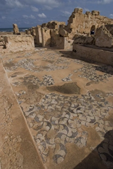 Images Dated 16th October 2007: Mosaics at Theatre Baths, Roman site of Sabratha, UNESCO World Heritage Site