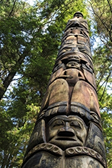 Top Section Gallery: Mosquito Legend Pole, Tlingit totem pole, rainforest, summer, Sitka National Historic Park