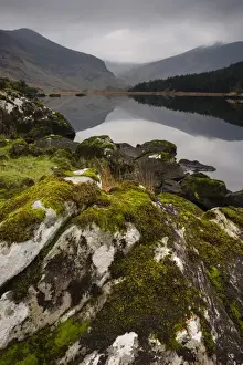 Killarney Prints: Moss covered rock, mountains and reflections in Cummeenduff Lake, Black Valley, Killarney