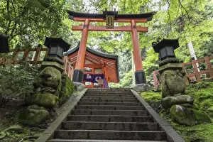 Shintoism Prints: Moss covered Shinto shrine surrounded by thick forest in summer, Fushimi Inari Taisha