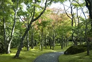 Images Dated 16th October 2009: Moss garden, Hakone Museum of Art, Koen-kami, Gora, Hakone, west of Tokyo, Honshu, Japan
