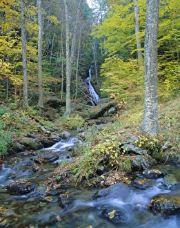 Vermont Prints: Moss Glen Falls