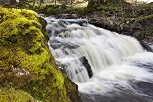 Mossy Prints: Mossy rock and waterfall on Grisedale Beck near Garsdale Head