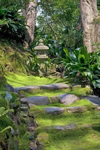 Mossy Prints: Mossy stone staircase at Honen-in Temple, Sakyo-ku, Kyoto, Japan