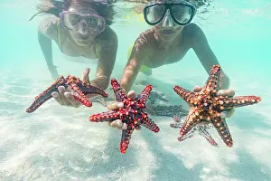 2 People Prints: Mother and son with scuba masks showing red starfish underwater