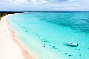 Adults Prints: Mother and son swimming in the crystal sea next to a pink sand beach