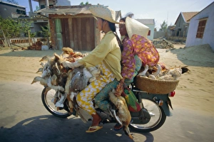 Haze Prints: Motorcyclist and passenger carrying ducks