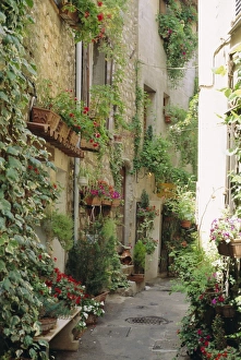 Mougins, Alpes Maritime, Cote d Azur, Provence, France