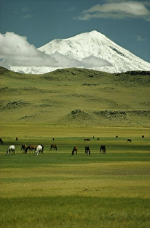 Asia Minor Prints: Mount Ararat, Anatolia, Turkey, Asia Minor, Eurasia