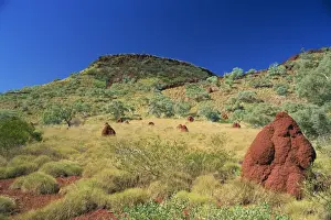 Termite Mounds Prints: Mount Bruce and termite mounds, Karijini National Park, Pilbara, Western Australia