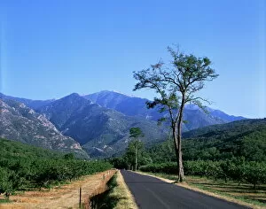 Images Dated 30th July 2008: Mount Canigou, Pyrenees-Orientale, Languedoc Roussillon, France, Europe