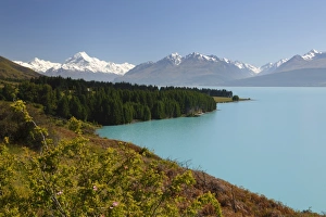 Canterbury Prints: Mount Cook and Lake Pukaki, Mount Cook National Park
