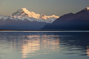 Canterbury Prints: Mount Cook and Lake Pukaki at sunrise
