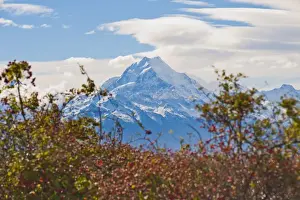Mount Cook Prints: Mount Cook summit, at 3754 metre the highest mountain in New Zealand