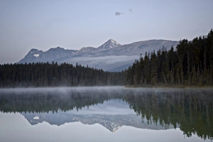 Mount Edith Cavell reflected in Leach Lake, Jasper National Park, UNESCO World Heritage Site, Alberta, Canada, North America