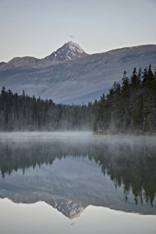 Albert A Prints: Mount Edith Cavell reflected in Leach Lake