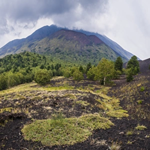Mount Etna Prints: Mount Etna Volcano, old lava flow from an eruption