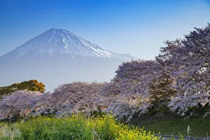 Mount Fuji, 3776m, UNESCO World Heritage Site, Yamanashi Prefecture, Honshu, Japan, Asia
