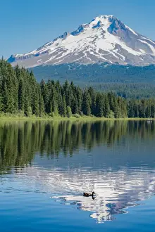Mount Hood Prints: Mount Hood, part of the Cascade Range