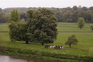 Mount Juliet Estate