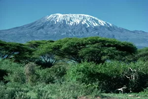 Natural Landmark Gallery: Mount Kilimanjaro, Tanzania, East Africa, Africa