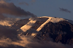 Images Dated 11th January 2008: Mount Kilimanjaro, Tanzania, East Africa, Africa