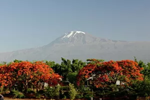 Images Dated 30th December 2007: Mount Kilimanjaro, Tanzania, East Africa, Africa
