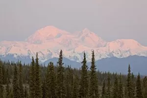 Images Dated 21st August 2009: Mount McKinley (Mount Denali), Denali Highway, Alaska, United States of America
