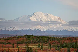 Images Dated 29th August 2009: Mount McKinley (Mount Denali) at sunset in the fall, Denali National Park and Preserve