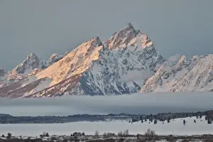 Mount Moran Prints: Mount Moran in the winter with snow