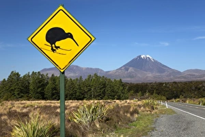 North Island Prints: Mount Ngauruhoe with Kiwi crossing sign