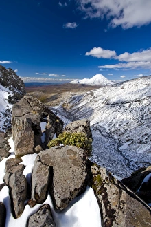 Images Dated 8th November 2008: Mount Ngauruhoe, Tongariro National Park, UNESCO World Heritage Site, North Island, New Zealand