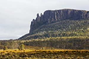 Mount Oakleigh at New Pelion on the Overland Track, Cradle Mountain Lake St