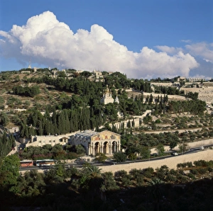Mount of Olives