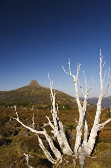 Eerie Prints: Mount Pelion East 1433m, from Mount Ossa 1617m