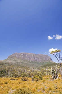Mount Pelion West on the Overland Track, Cradle Mountain Lake St. Clair National Park