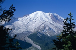 Icefield Prints: Mount Rainier
