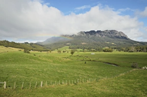 Pastoral Prints: Mount Roland seen from Paradise, Tasmania, Australia, Pacific