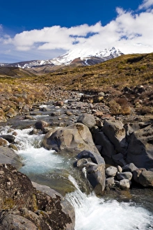 Images Dated 9th November 2008: Mount Ruapehu, Tongariro National Park, UNESCO World Heritage Site, North Island, New Zealand