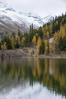 Sichuan Province Prints: Mount Siguniang, an area of outstanding natural beauty in Sichuan Province, China, Asia
